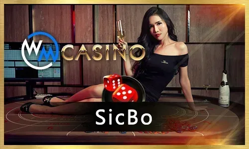 Bet100 Live Casino